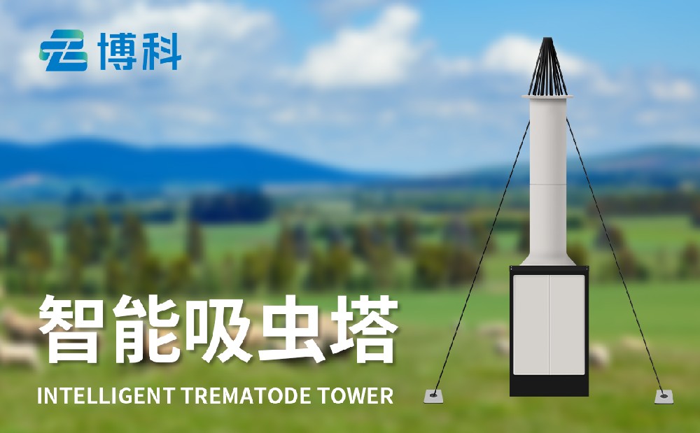 1718956989169742.jpg 1718956989169742.jpg